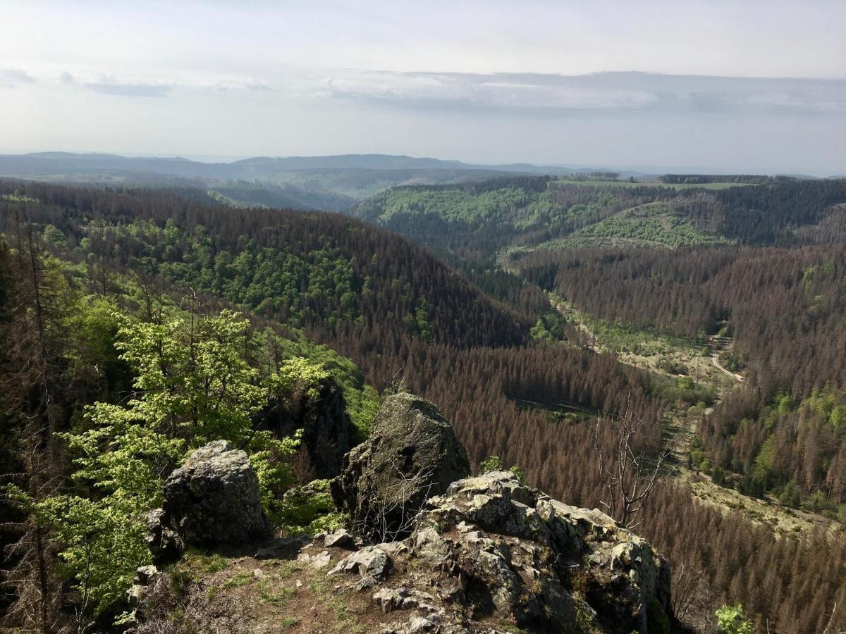 Bergwelt Braunlage Apartman Kültér fotó