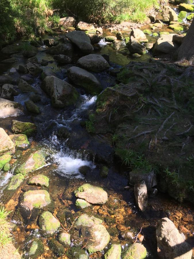 Bergwelt Braunlage Apartman Kültér fotó